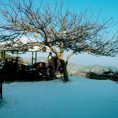 The Swiss Village Resort Nainital Exterior foto
