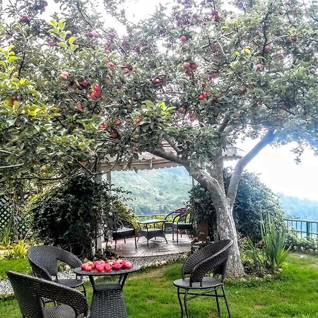The Swiss Village Resort Nainital Exterior foto